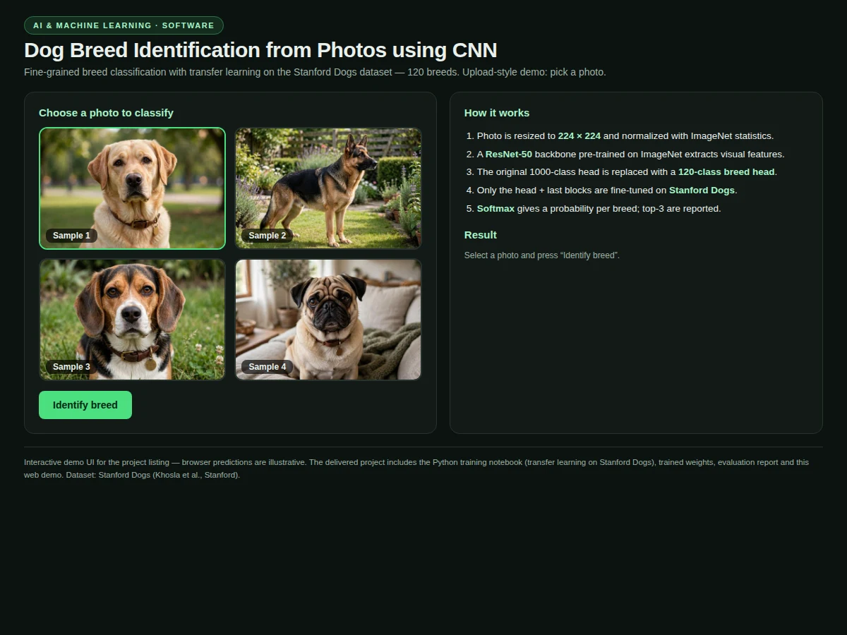Dog Breed Identification from Photos using CNN — project thumbnail preview