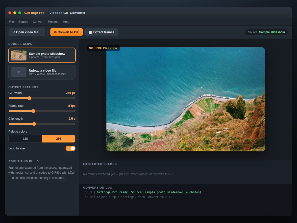 Video to GIF Converter with Frame Rate and Palette Control — project thumbnail preview