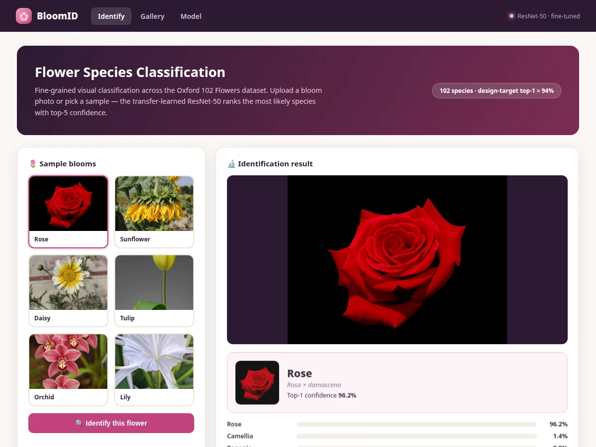 Flower Species Classification using CNN (Oxford 102) — project thumbnail preview